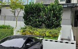 Rosewood Suites (D25), Condominium #537259611